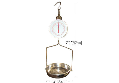 Hanging Scale [DTSC]