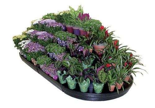 Modular Floral Display [FD110]